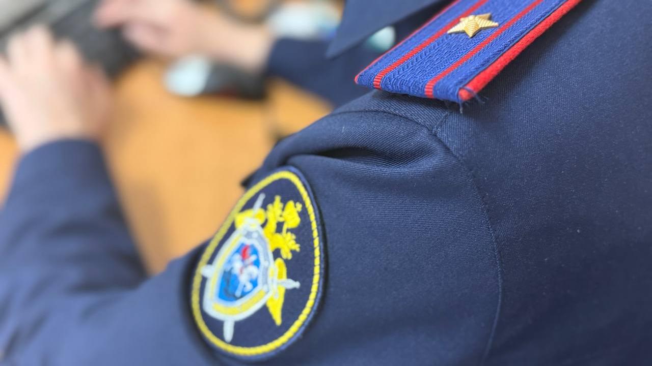 Курьеры мошенников забрали у пенсионеров Саранска 4,5 миллиона Курьеры мошенников забрали у пенсионеров Саранска 4,5 миллиона
