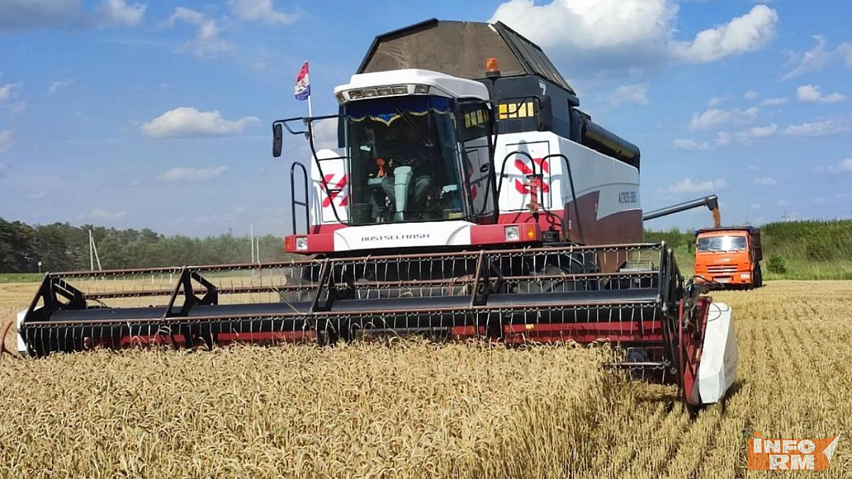 Аграрии Мордовии намолотили почти два миллиона тонн зерна