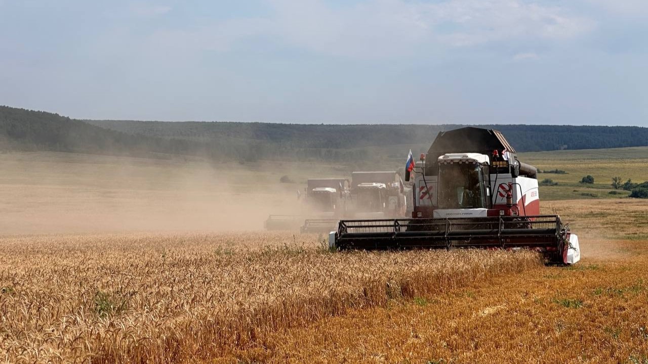 В Мордовии аграрии «Атемарской» установили новые рекорды