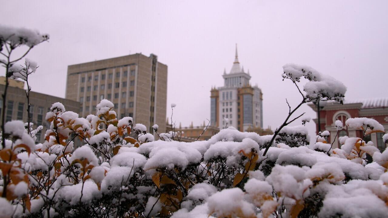 Зимы не ждите: озвучен прогноз на первые дни декабря 