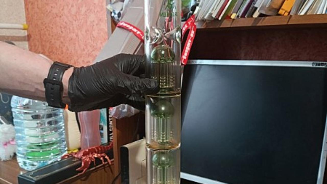 Жительница Саранска арендовала квартиру для выращивания наркотиков