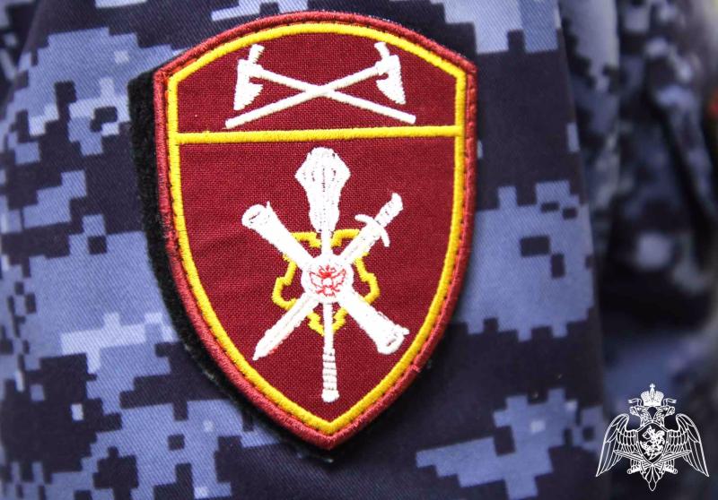 8 единиц оружия изъяты за неделю в Мордовии 