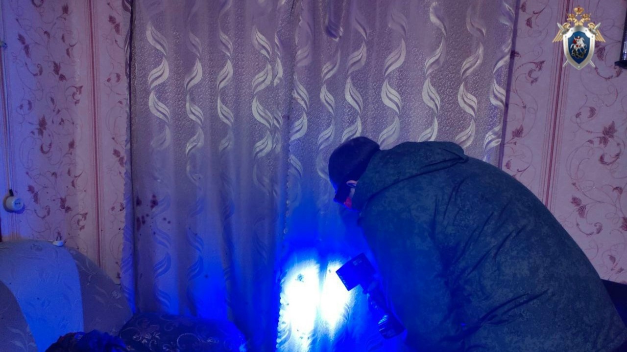 Житель Мордовии забил до смерти свою старенькую мать