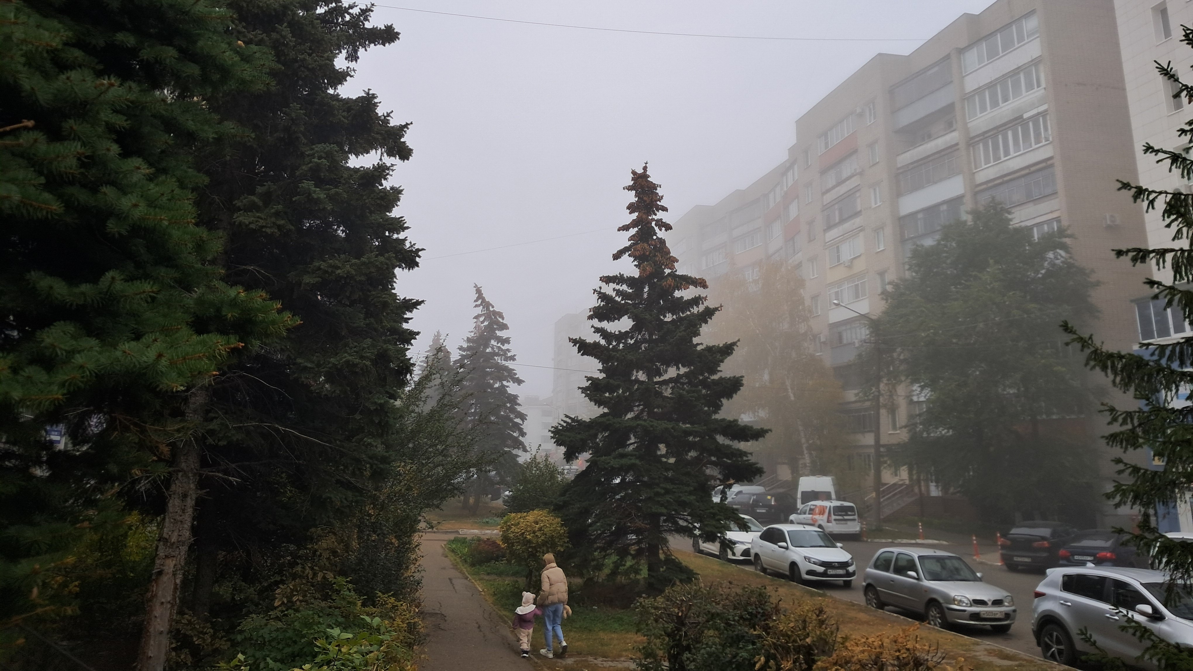 В Мордовии прогнозируют туман и сильный ветер