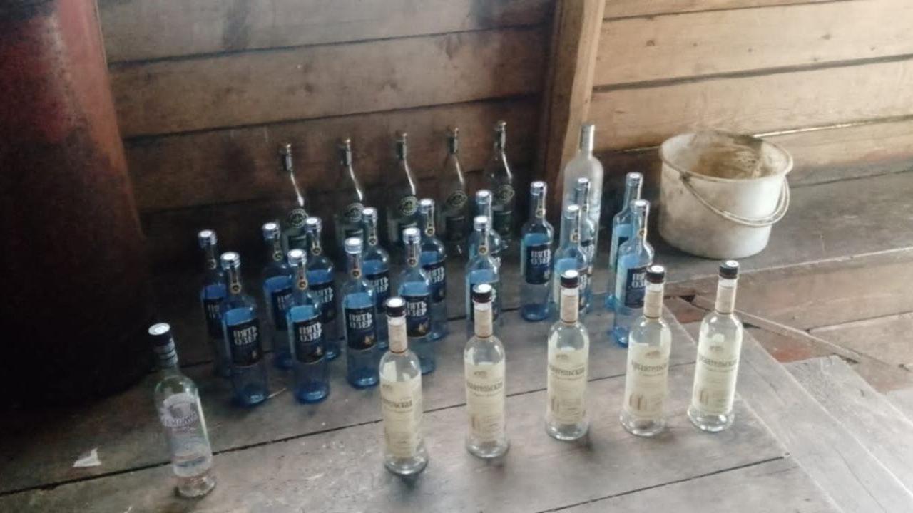 Жительница Мордовии месяц воровала для возлюбленного водку