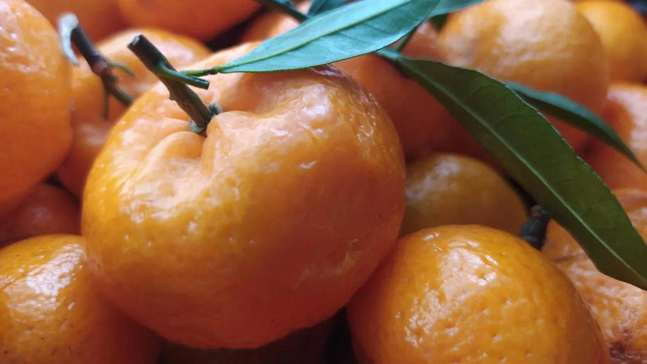 Названы самые популярные угощения россиян на новогоднем столе 