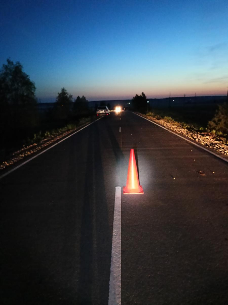 Пьяный водитель ночью в Мордовии задавил идущую по середине дороги женщину
