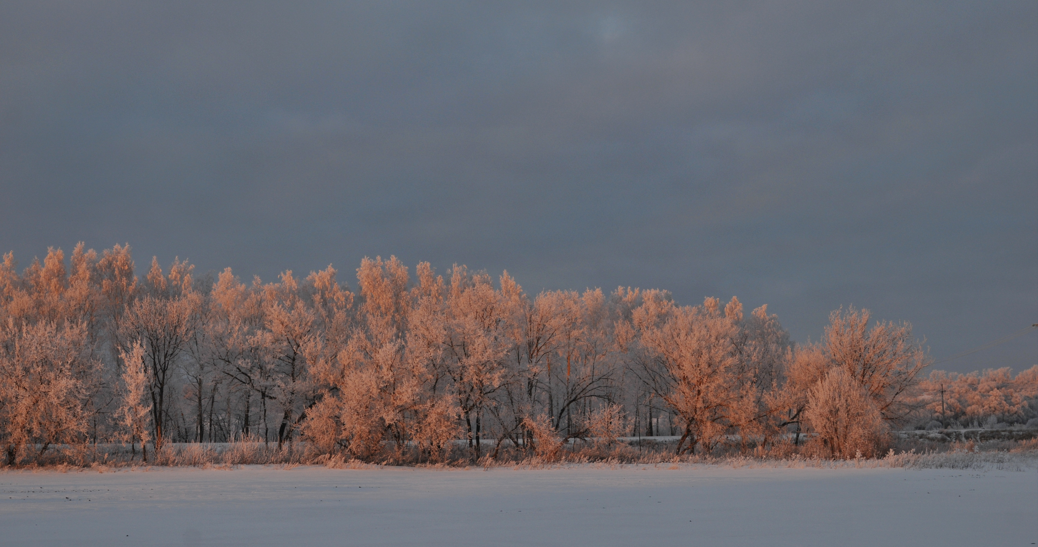 В Мордовии ожидаются 32-градусные морозы 