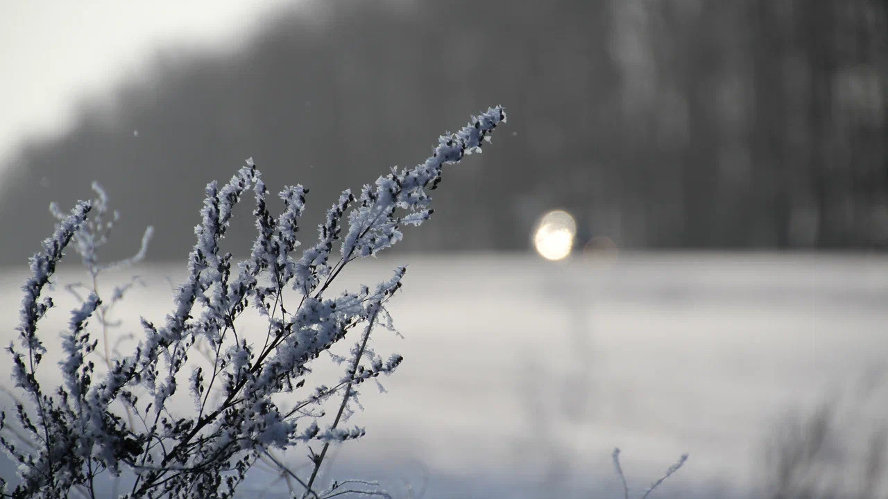 Экстремальные 50-градусные морозы зафиксировали в одном из регионов России 