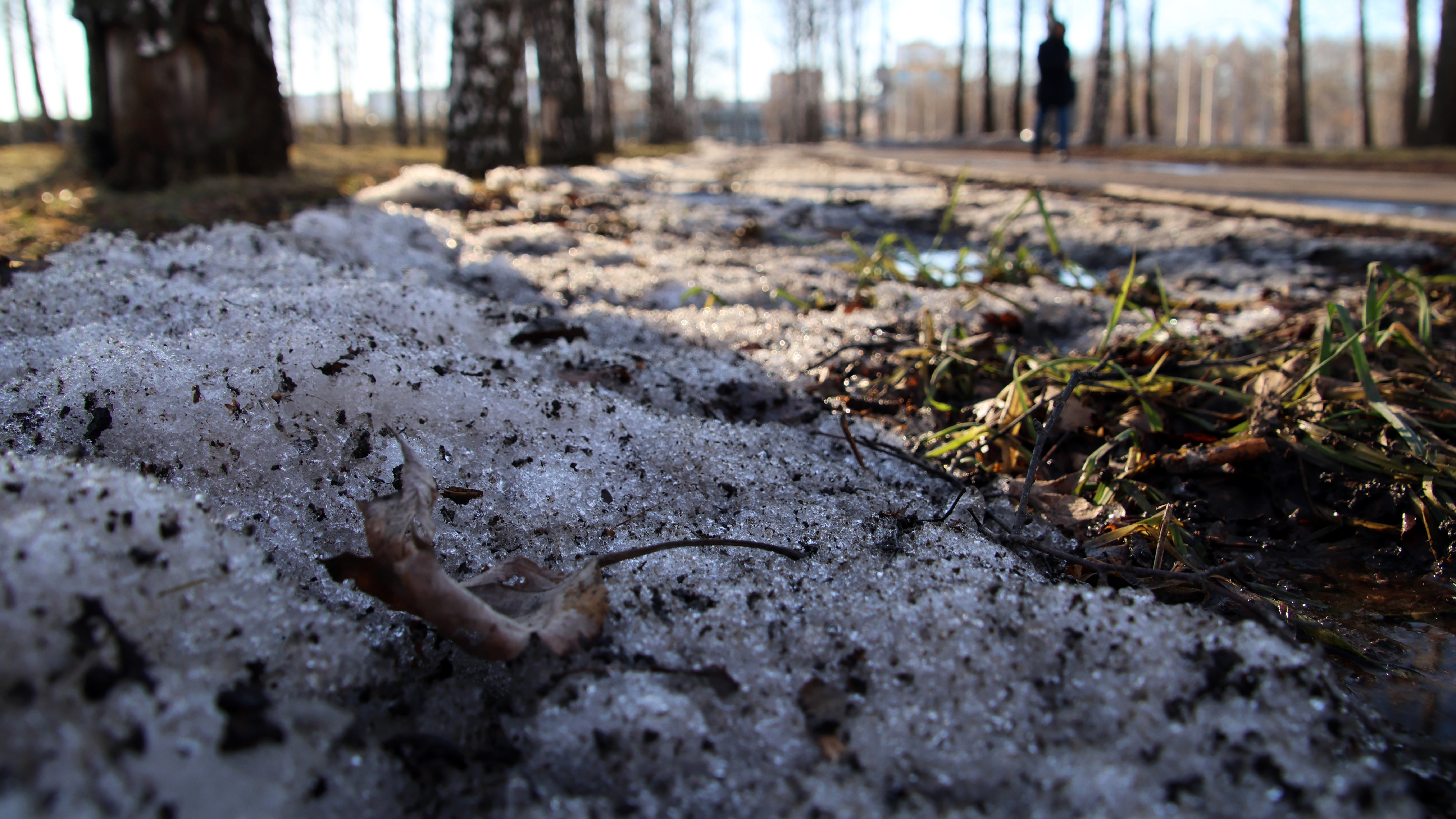 В Мордовии станет теплее