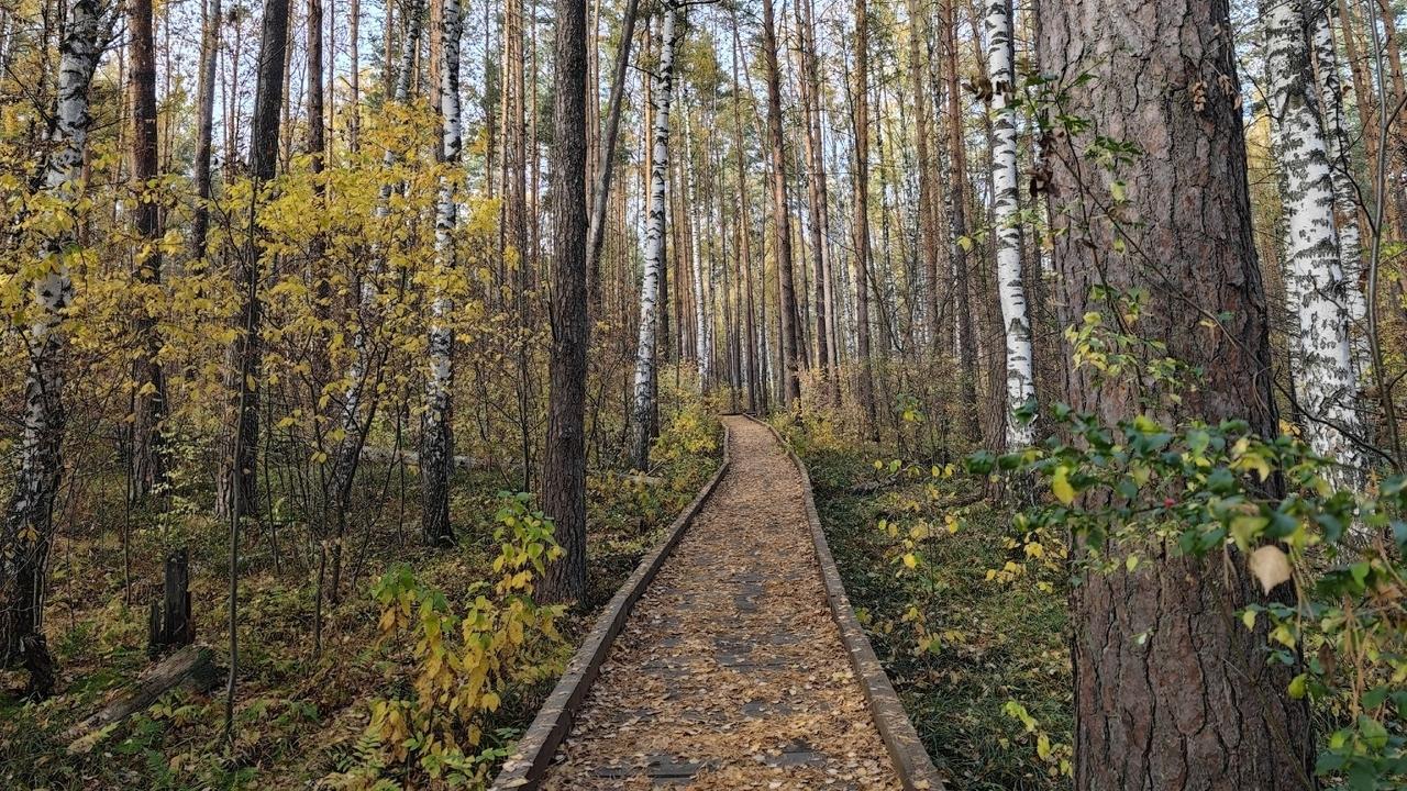 Жителей и гостей Мордовии предупредили о штрафах за поворот не туда 