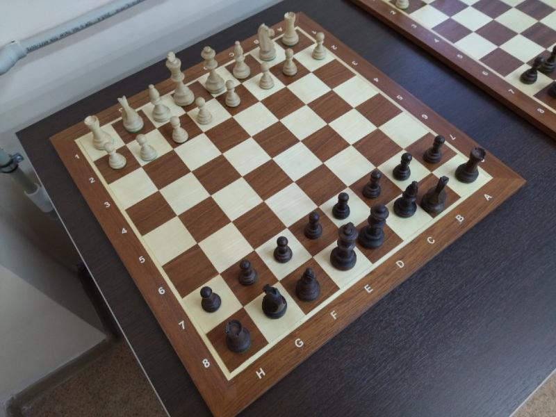 На «Мордовии Арене» пройдет международный онлайн-турнир по шахматам 