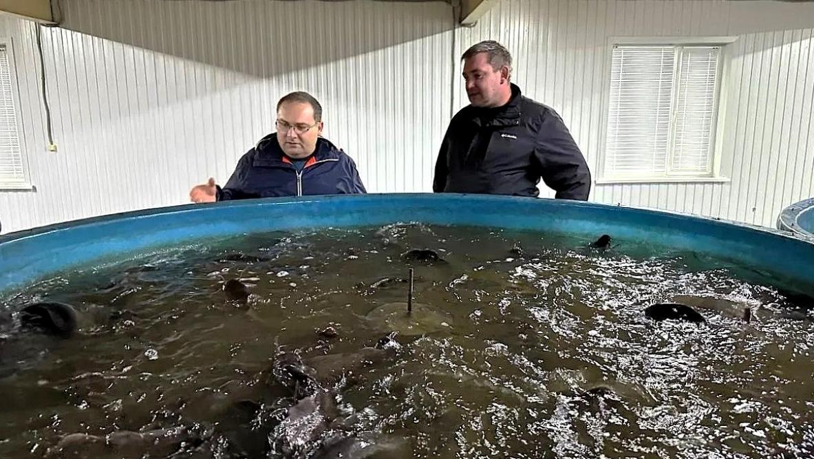  Новый министр сельского хозяйства Мордовии начал работу с поддержки инвестпроектов и выхода на экспорт