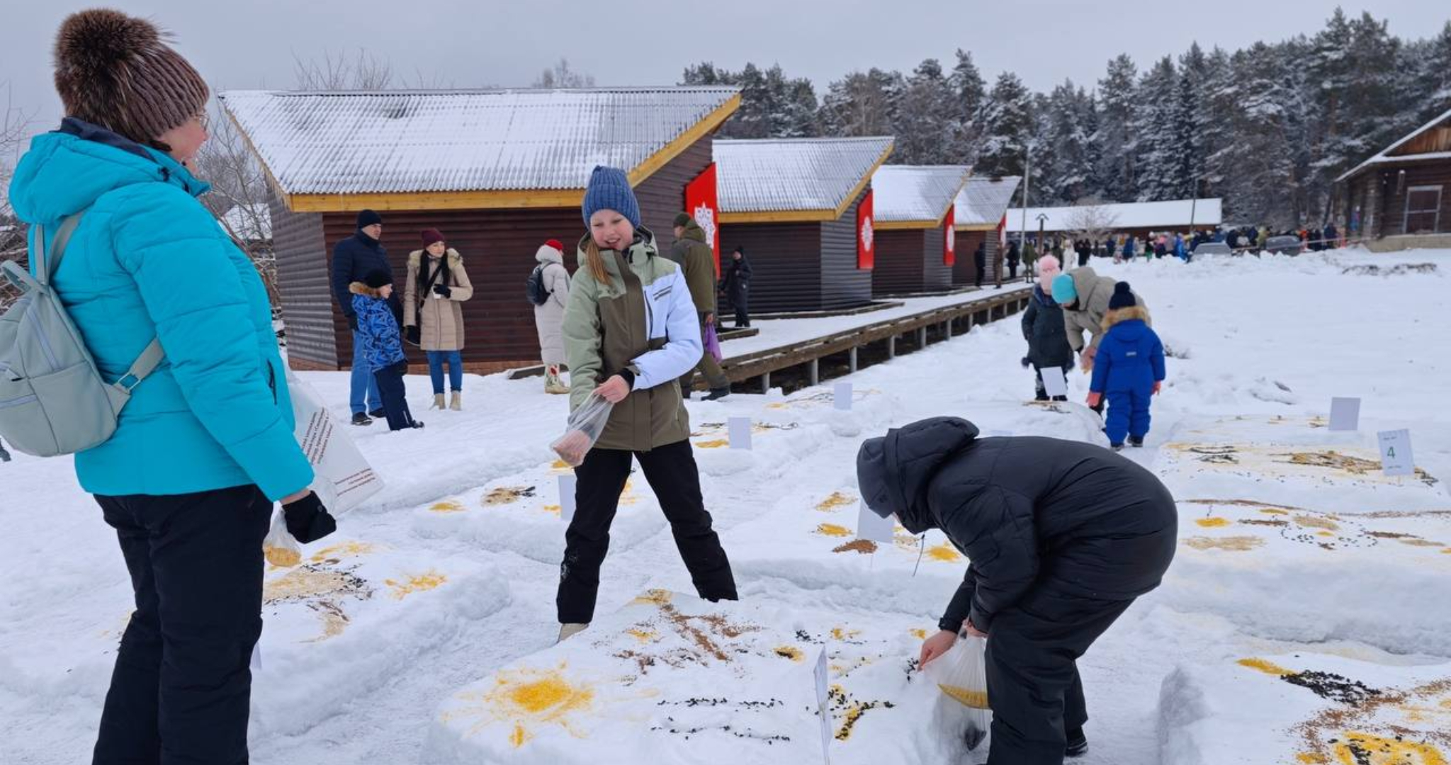 Для птиц в Мордовии создадут вкусные картины 