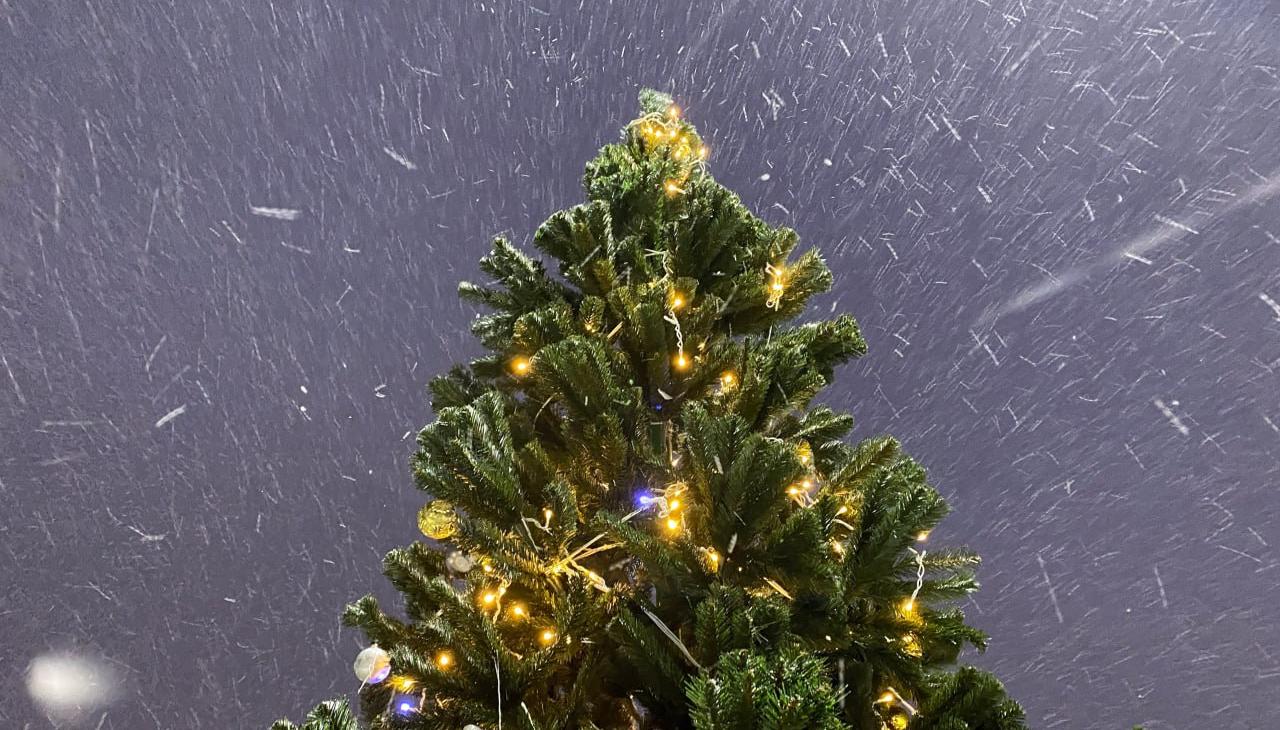 Жители Саранск могут побывать «В гостях у матушки Зимы» на новогодних каникулах 