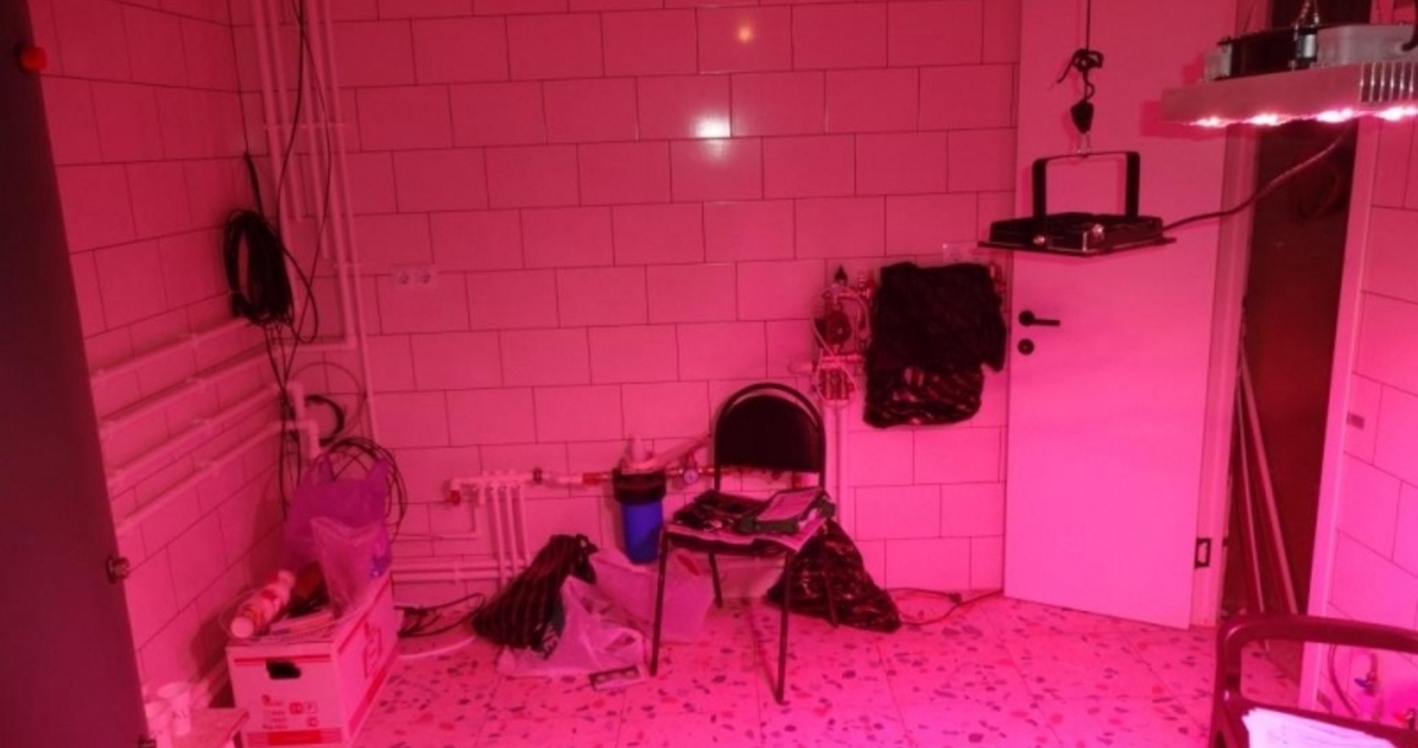 Житель Мордовии устроил наркоплантацию у себя в котельной 