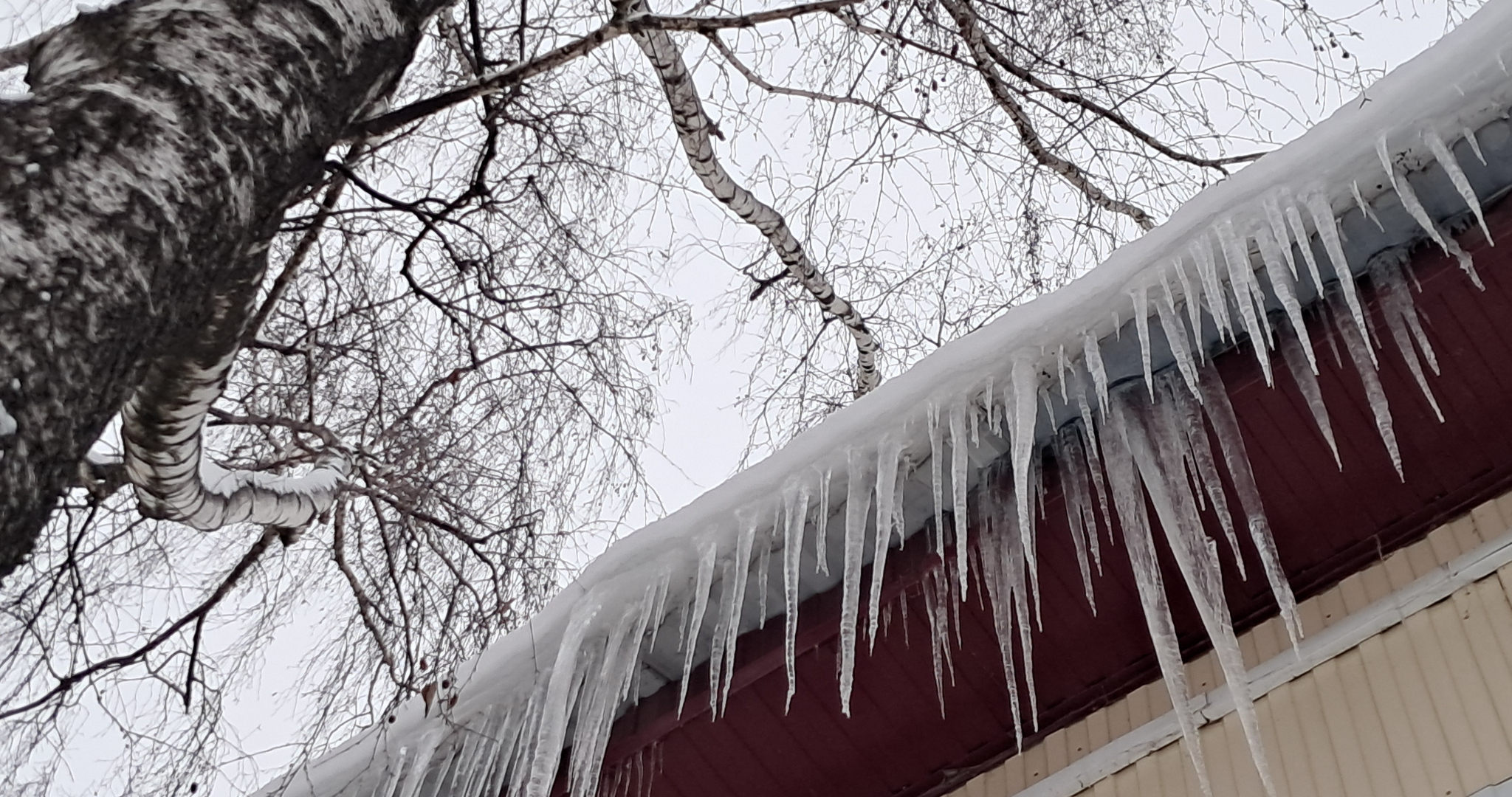 Директорам школ и детсадов в Мордовии дали несколько дней на очистку крыш от снега 