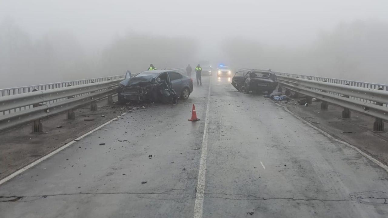 На трассе в Мордовии водитель погиб в лобовом ДТП