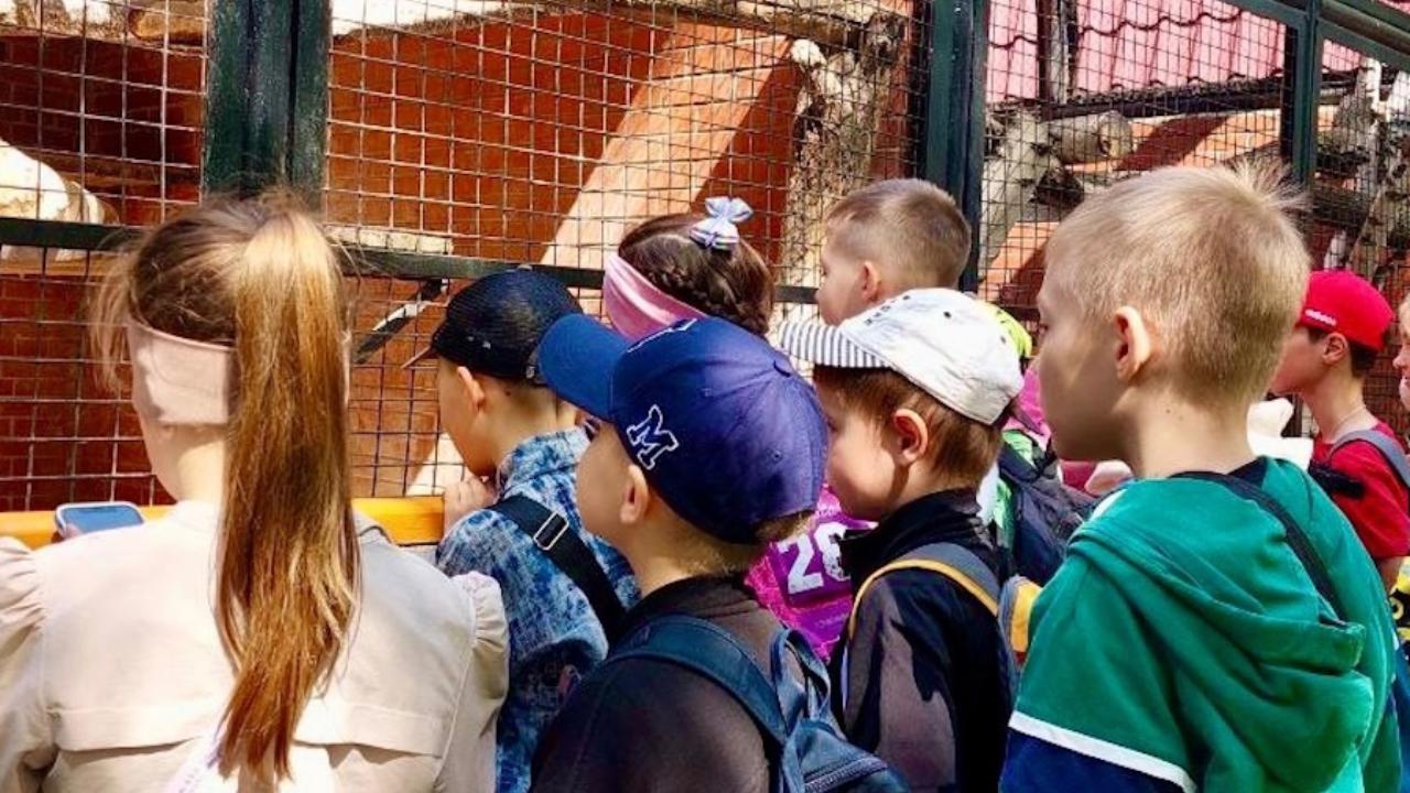 В Саранском зоопарке состоится забавный обед медведя