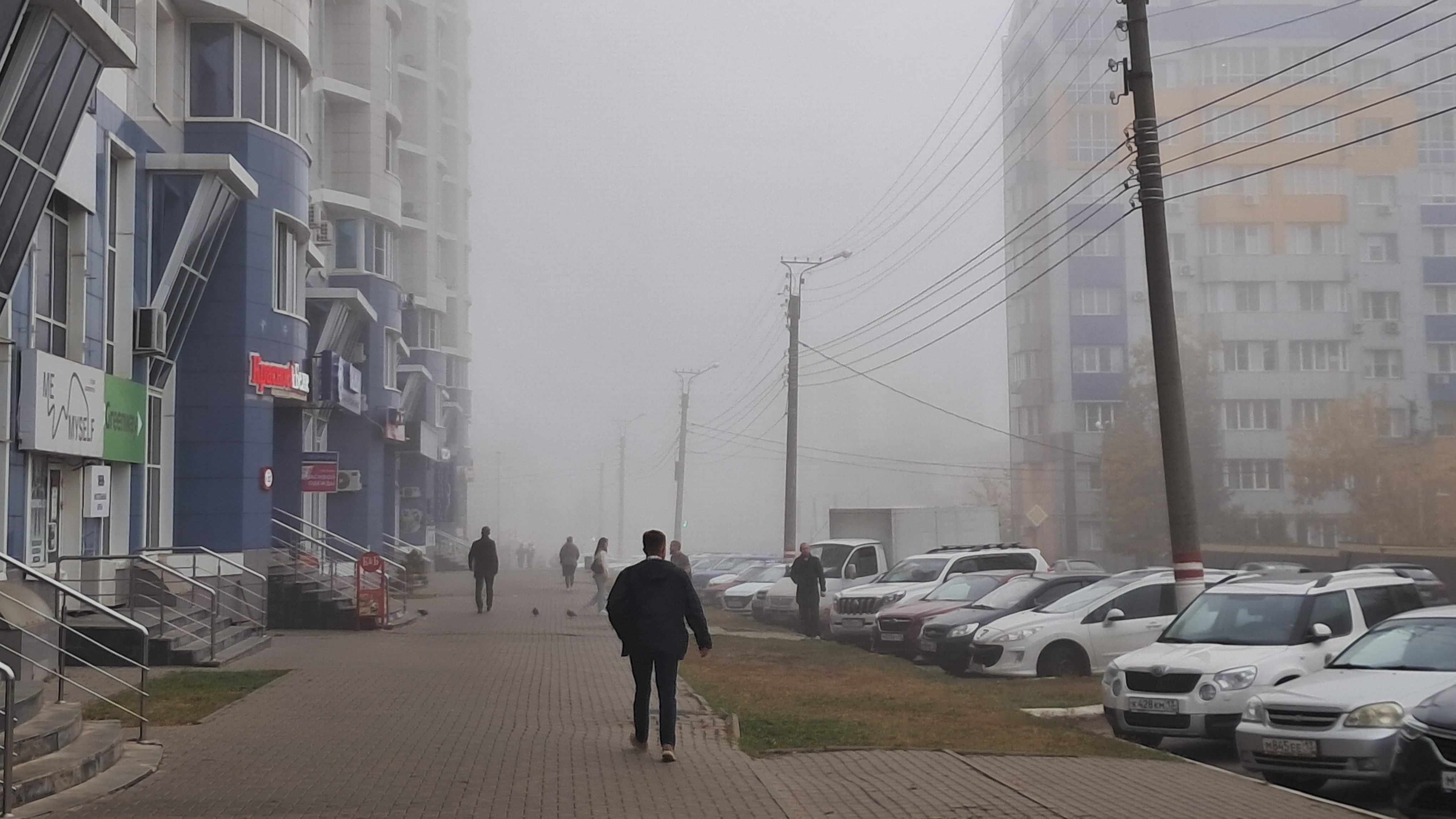 В Мордовии прогнозируют туман и плохую видимость