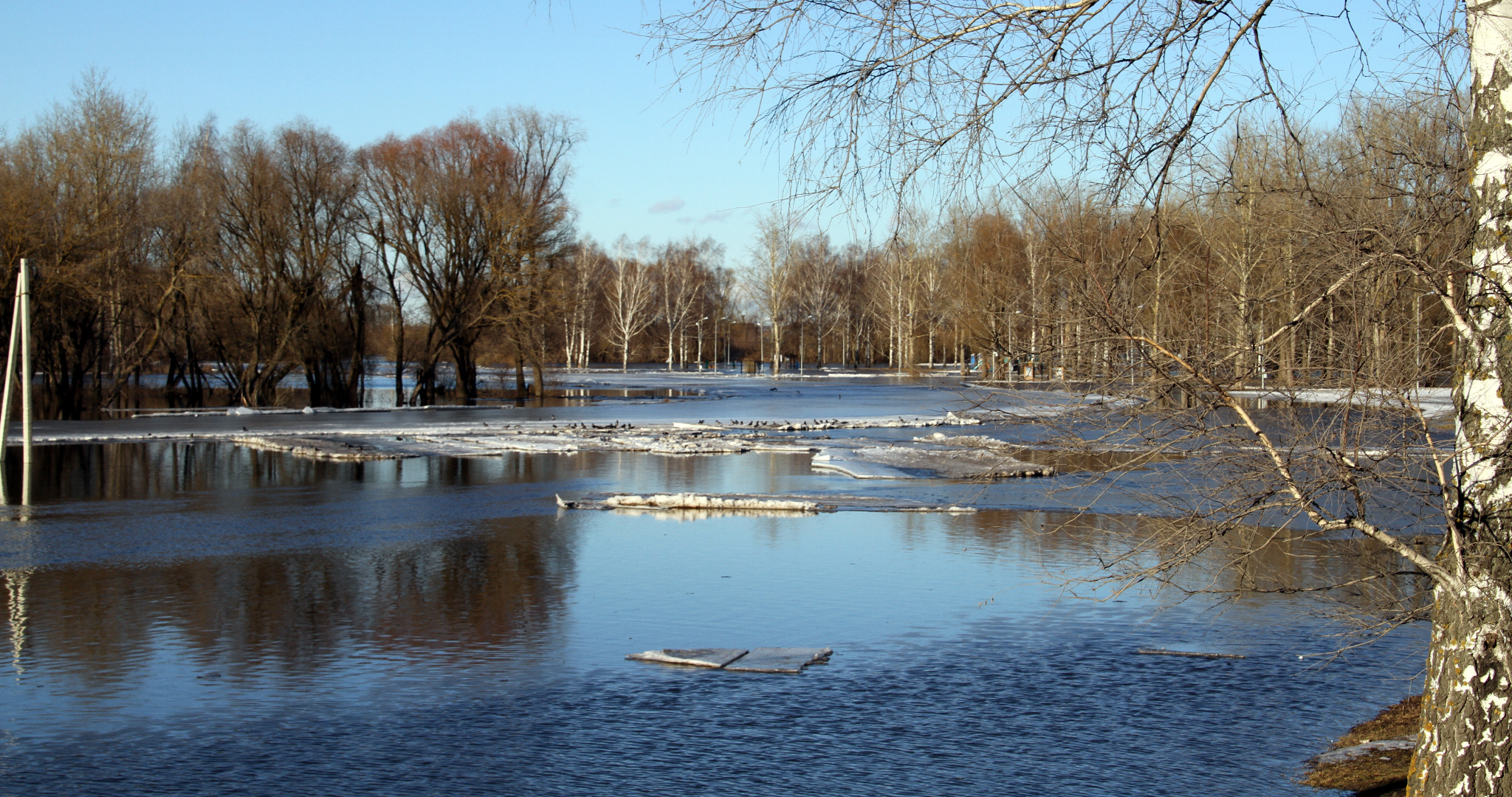 Сельчане в Мордовии попросили дорогу и защиту от паводка 