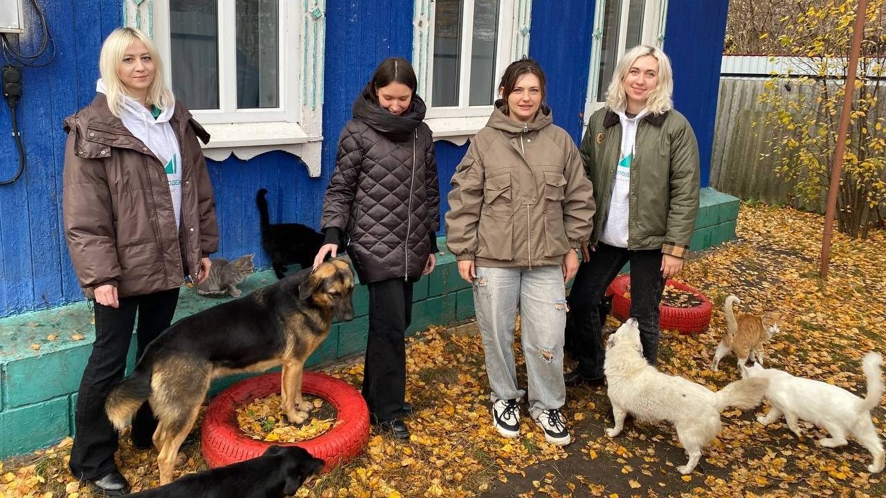Волонтёры в Мордовии оказали помощь приюту «Лапкин дом» 
