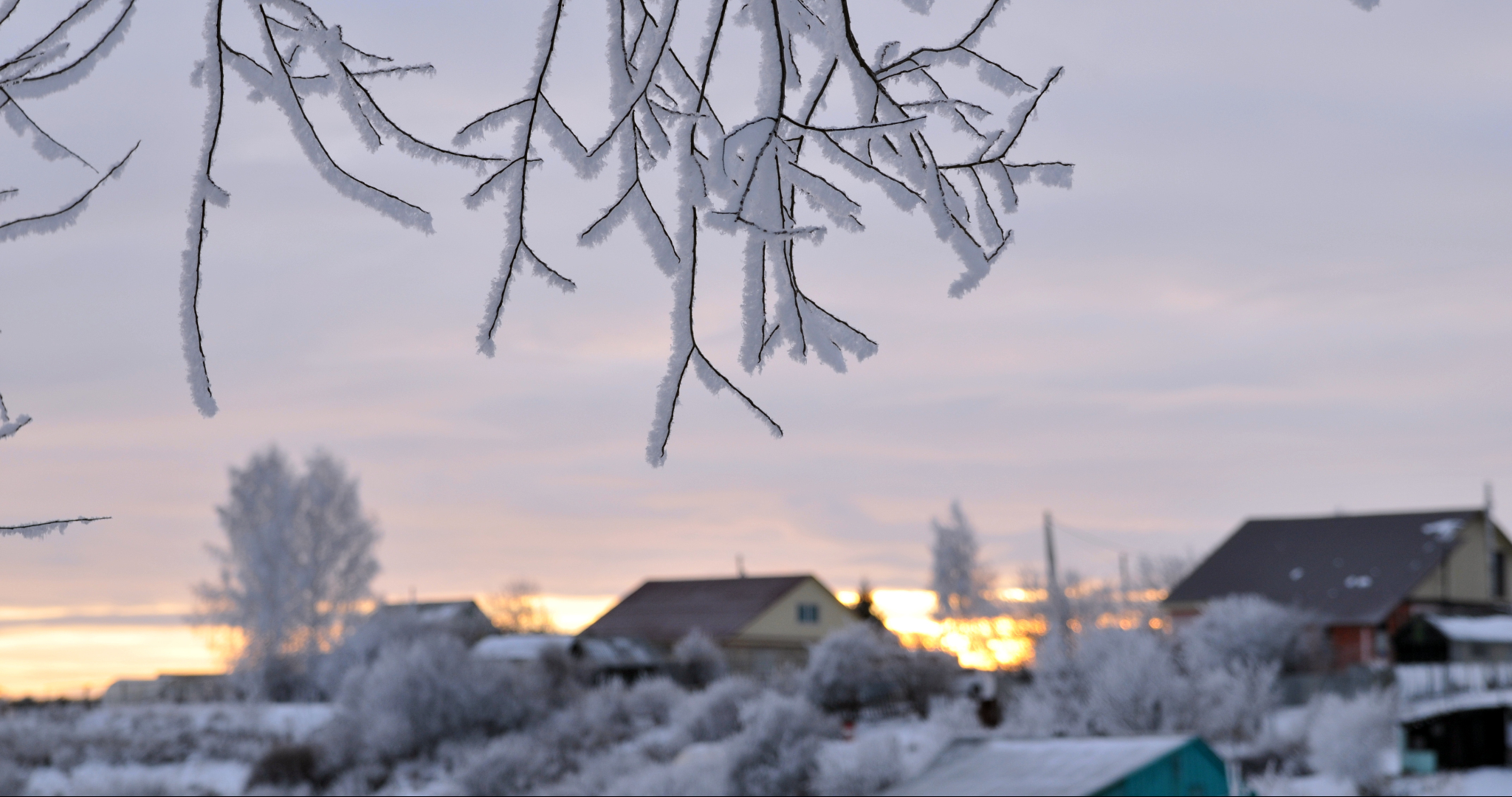 Где в России можно увидеть северное сияние: прогноз эксперта 