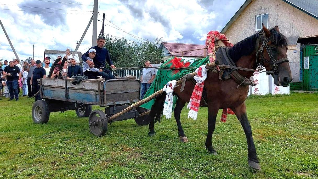 Сельский Сабантуй отметят в Мордовии Сельский Сабантуй отметят в Мордовии