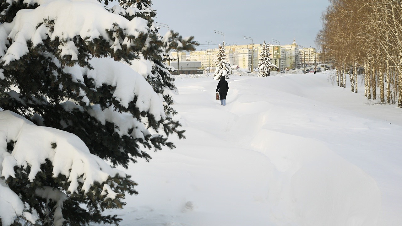 Синоптики рассказали о погоде в Мордовии на предстоящую неделю 