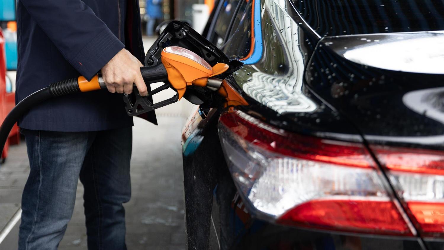 Бензин, коты и «китайцы»: актуальный срез российского автомира Бензин, коты и «китайцы»: актуальный срез российского автомира