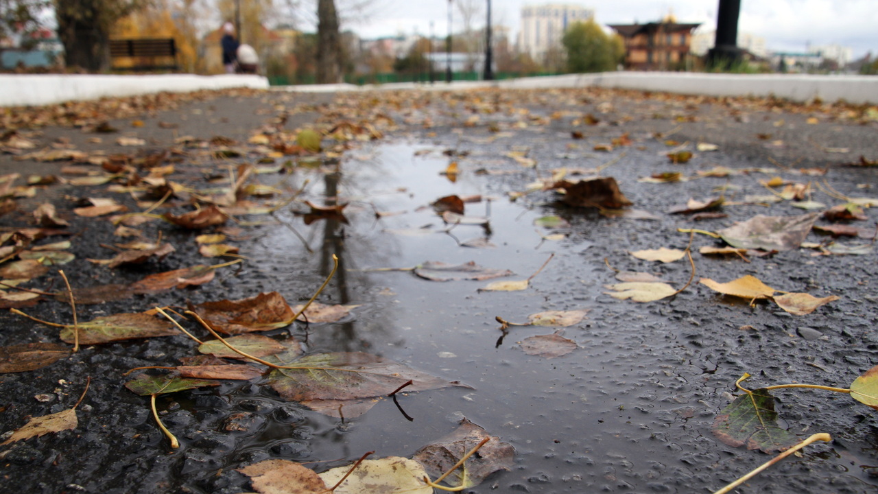 В Мордовии ожидается гололедица 