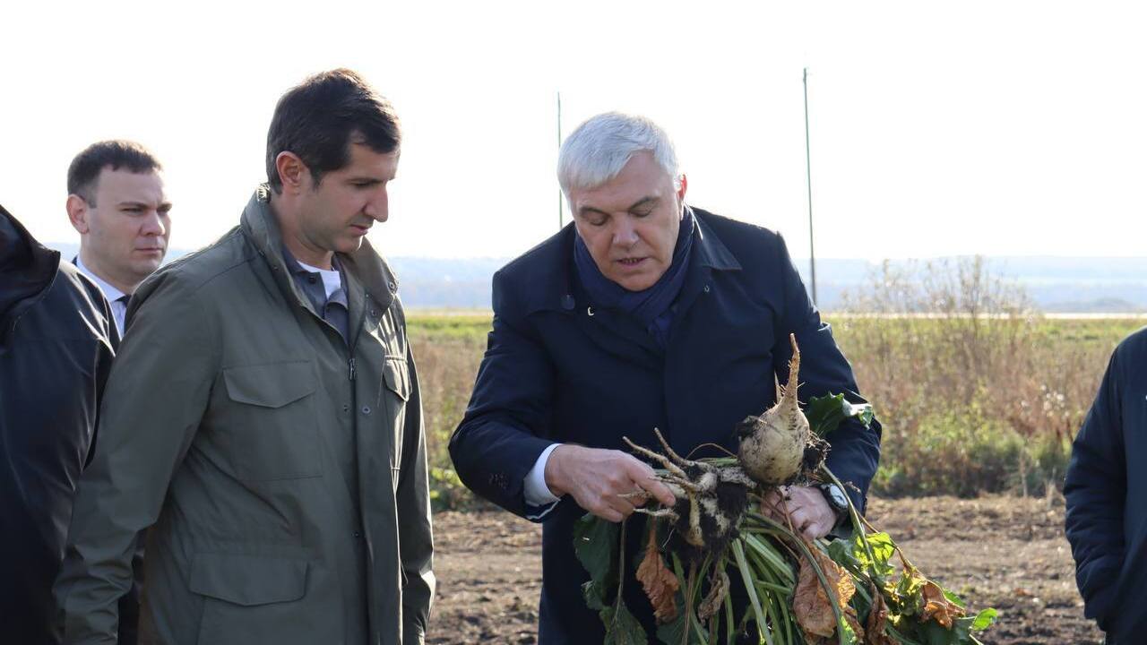 Мордовские аграрии прошли отметку в миллион тонн собранной сахарной свёклы 