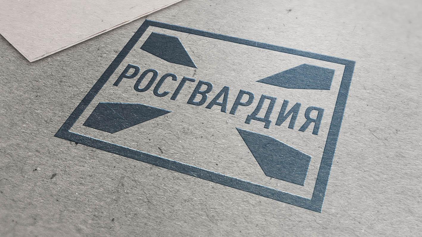 Драку в саранском магазине прекратили Росгвардейцы Драку в саранском магазине прекратили Росгвардейцы