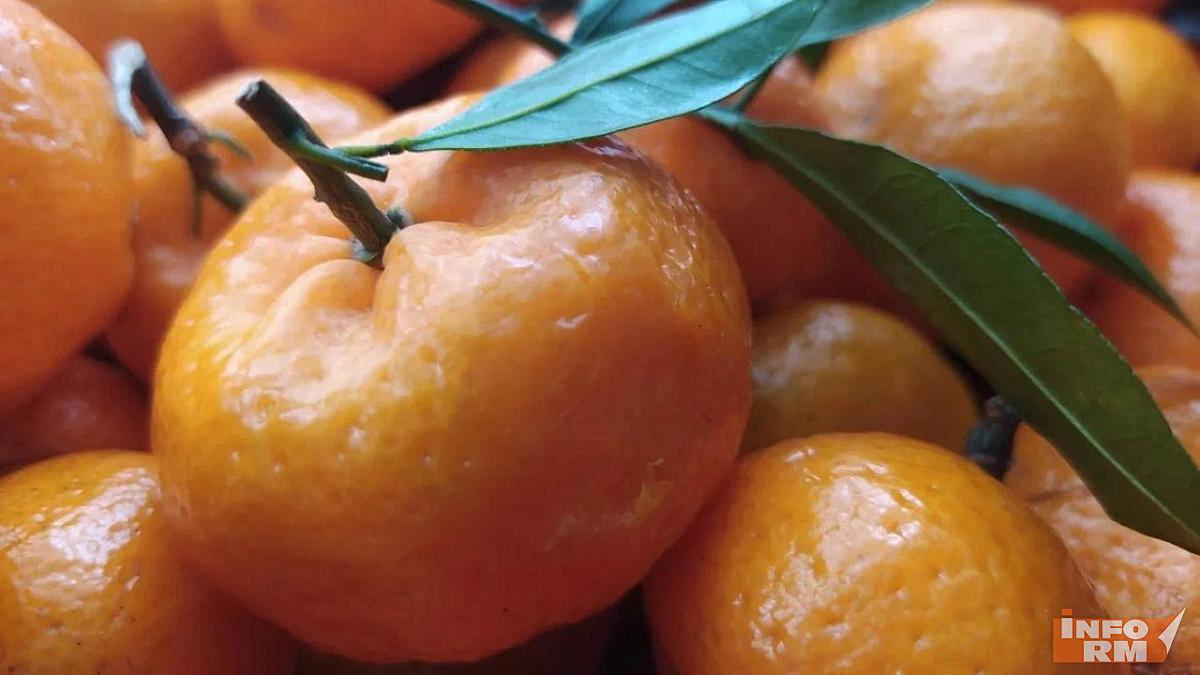 Названы самые популярные угощения россиян на новогоднем столе 