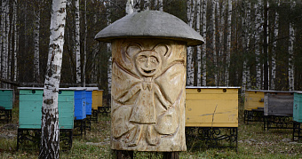 В Мордовии появился уникальный туристический маршрут с дегустацией мёда 