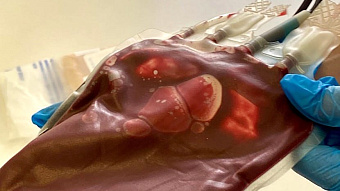 В Мордовии – пять тысяч почётных доноров России