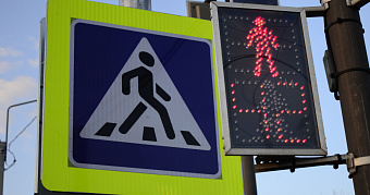 Девять бесстрашных пешеходов были оштрафованы в Саранске 