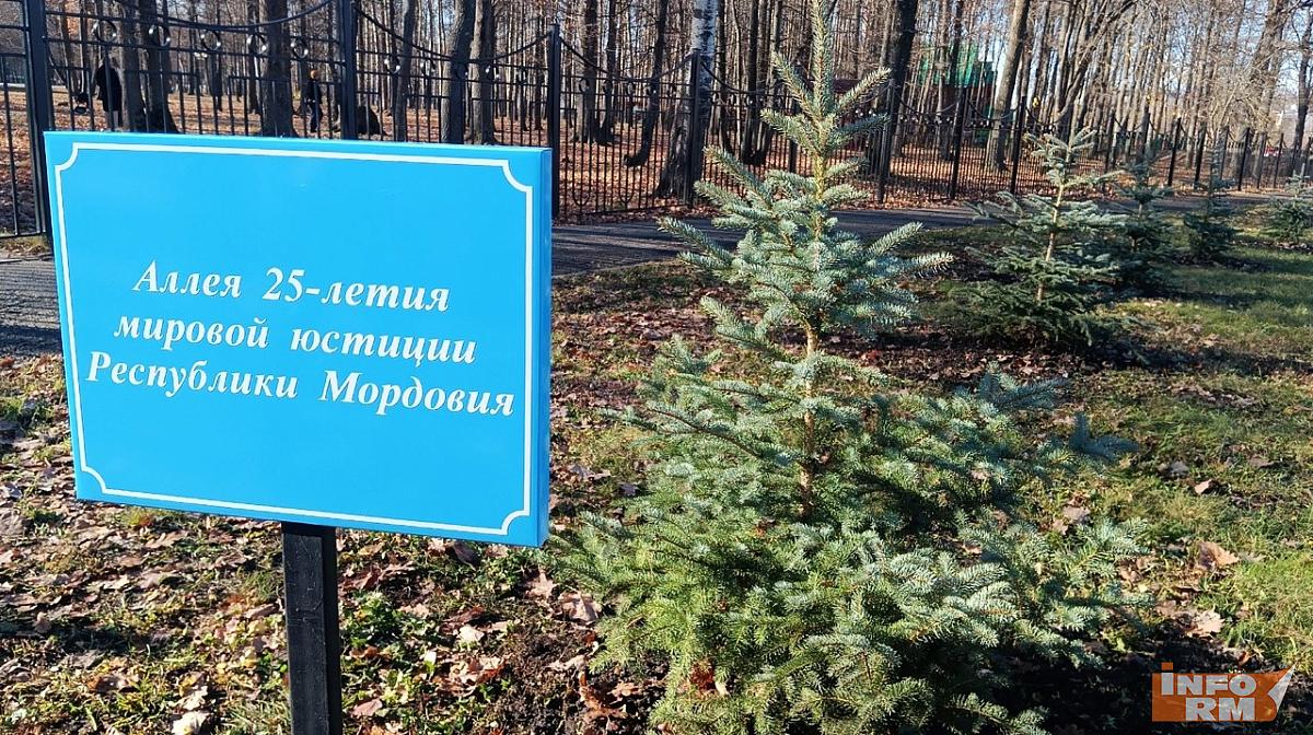 В Саранске посадили аллею к 25-летию мировой юстиции