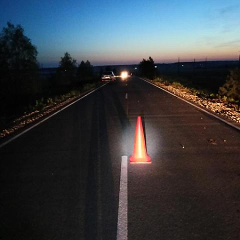 Пьяный водитель ночью в Мордовии задавил идущую по середине дороги женщину