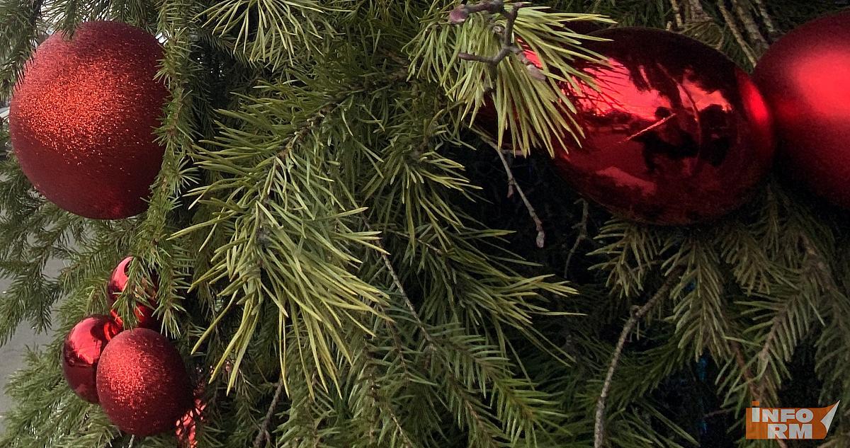 Когда дома ставить ёлку: благоприятные и неблагоприятные даты 