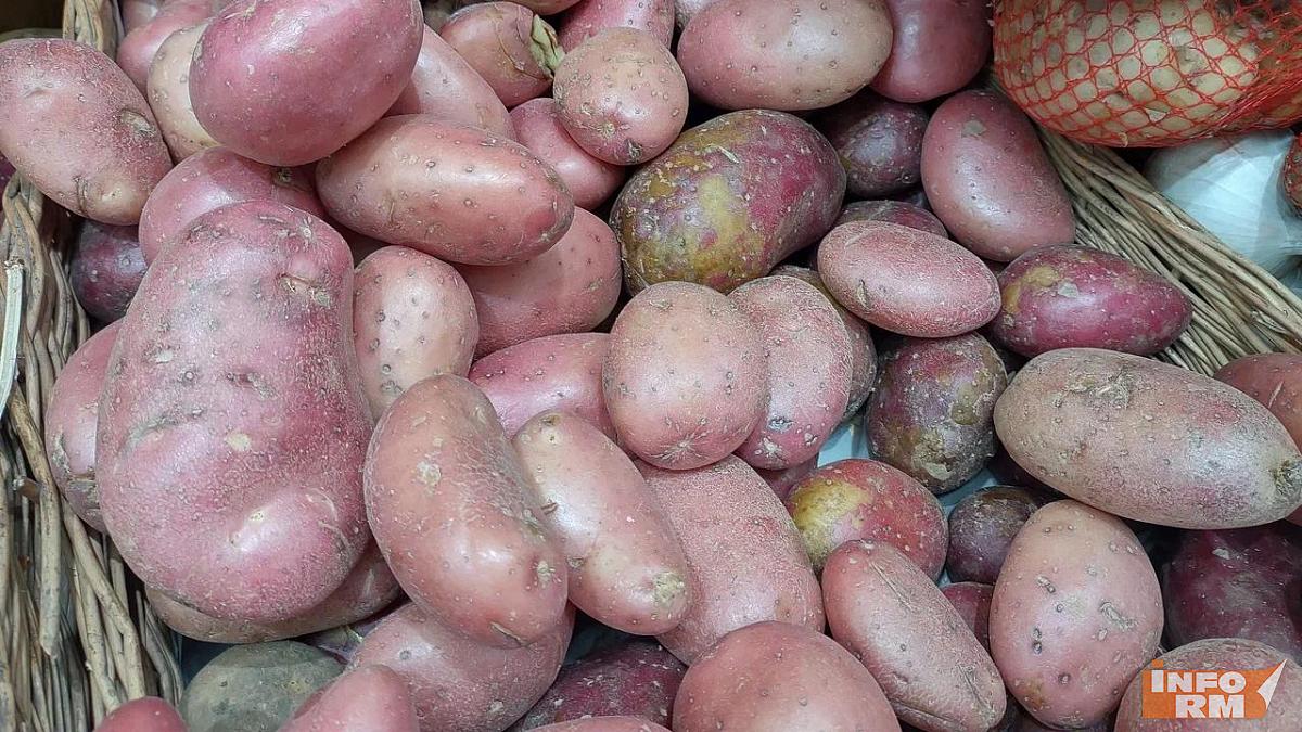 Зерно, свёкла и картофель: фермеры Мордовии меняют лицо сельского хозяйства Зерно, свёкла и картофель: фермеры Мордовии меняют лицо сельского хозяйства