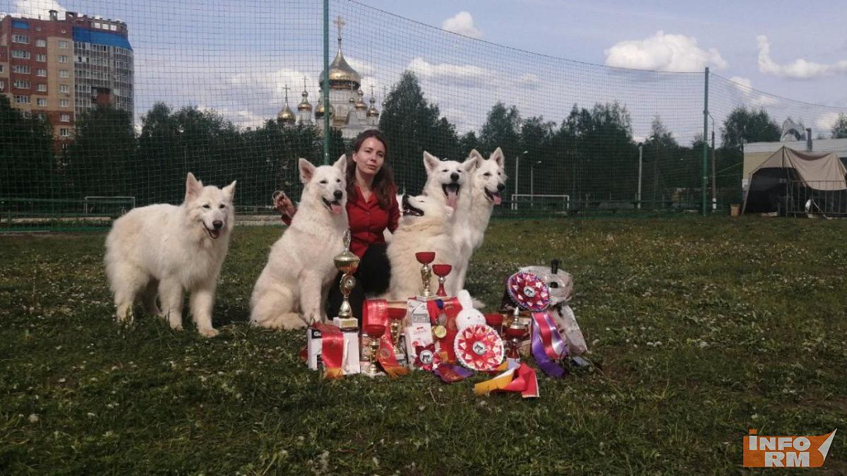 В Саранске прошли выставки собак ранга Российской кинологической федерации В Саранске прошли выставки собак ранга Российской кинологической федерации