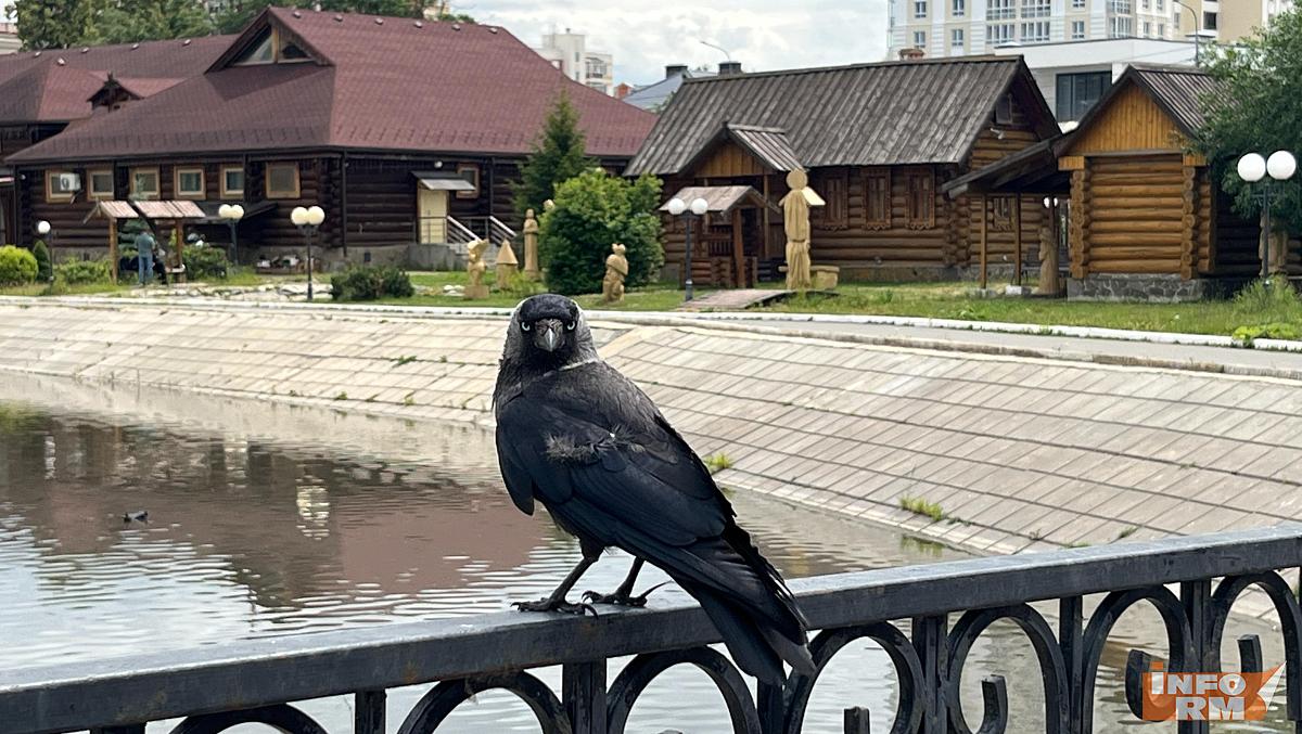 В ближайшие два дня в Мордовию придут ливни с грозами В ближайшие два дня в Мордовию придут ливни с грозами
