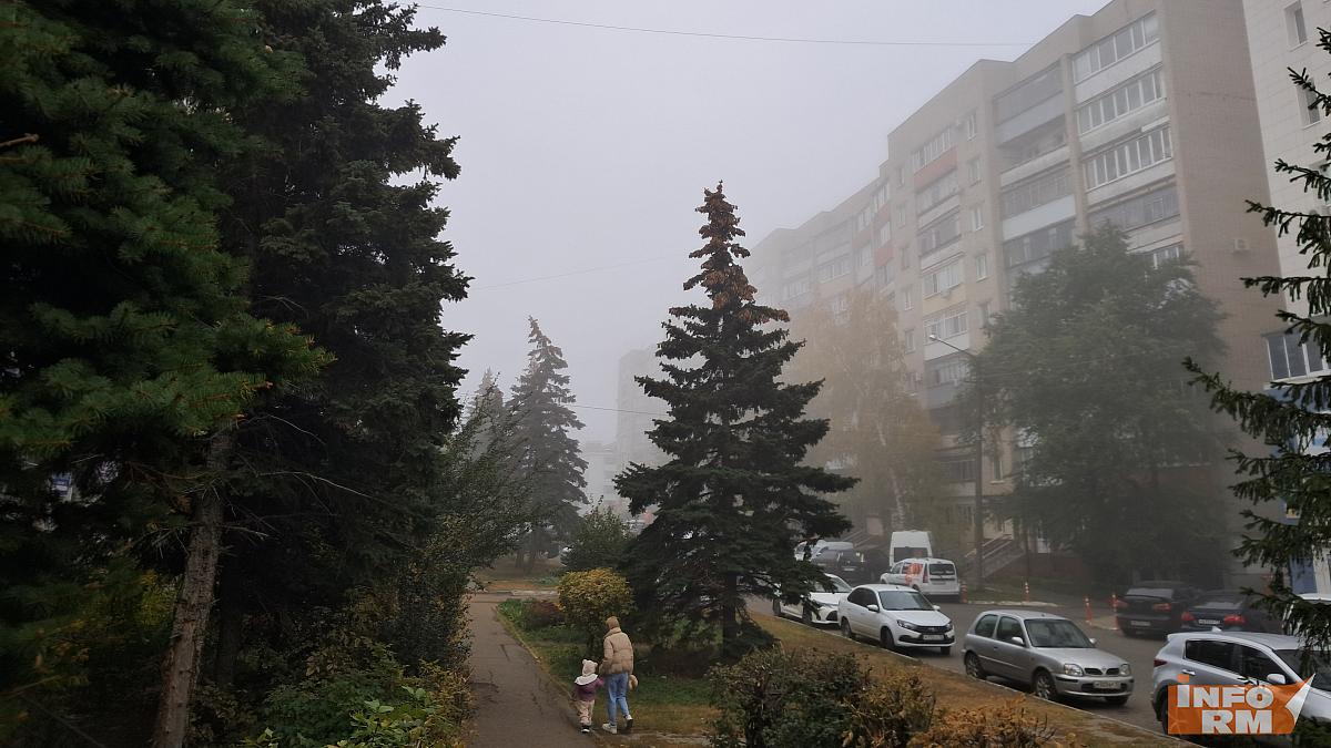 В Мордовии прогнозируют туман и сильный ветер