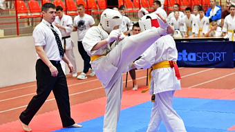 В Мордовии пройдёт всероссийский турнир по единоборствам