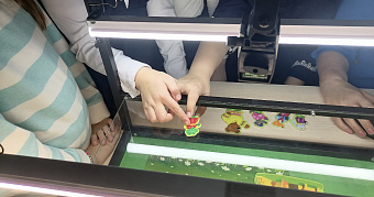 Дети в Мордовии сняли мультфильм по сказке «Пелькине» 