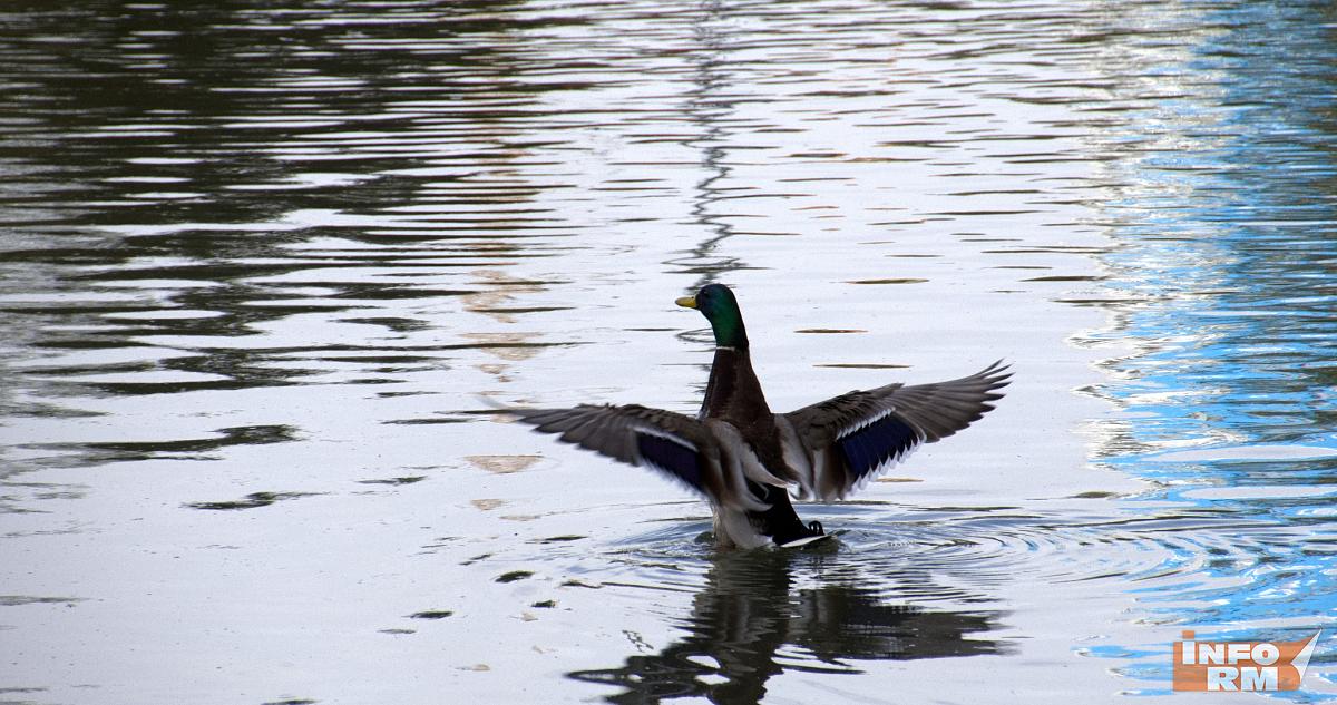 Жителям России напомнили о следующих праздничных выходных 