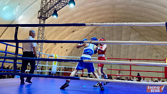 В Саранске стартовал чемпионат Мордовии по боксу