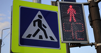 Жителей Мордовии попросили воздержаться от забегов через дорогу 