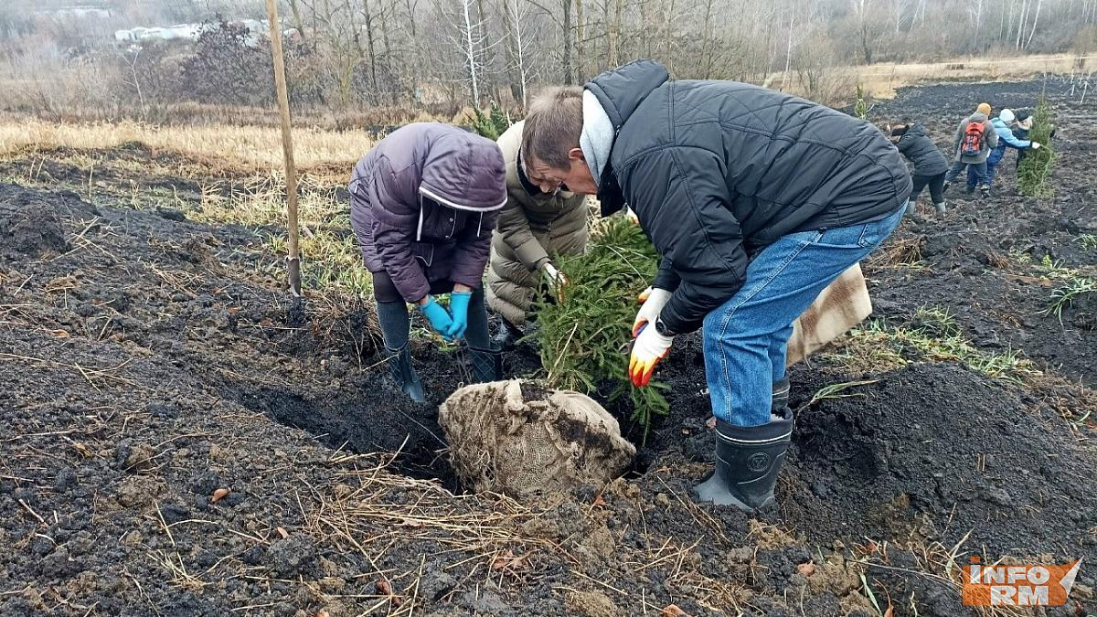 В Саранске появится парк участников СВО